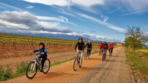 Group of cyclists along the Tarazonica Greenway